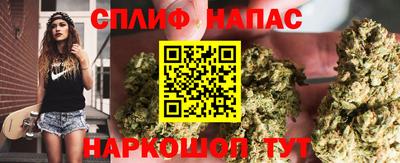 прущие крисы Моздок