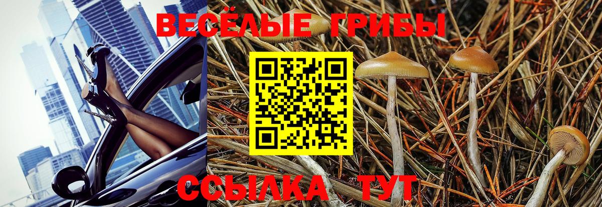 Галлюциногенные грибы Magic Shrooms  Псилоцибиновые грибы Cubensis  цены   Усинск  Вход с VPN 